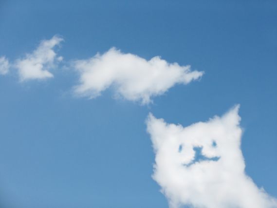 青空に浮かぶ猫の形の雲